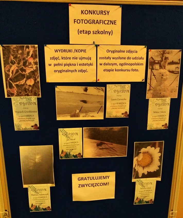 wyniki konkursów fotograficznych